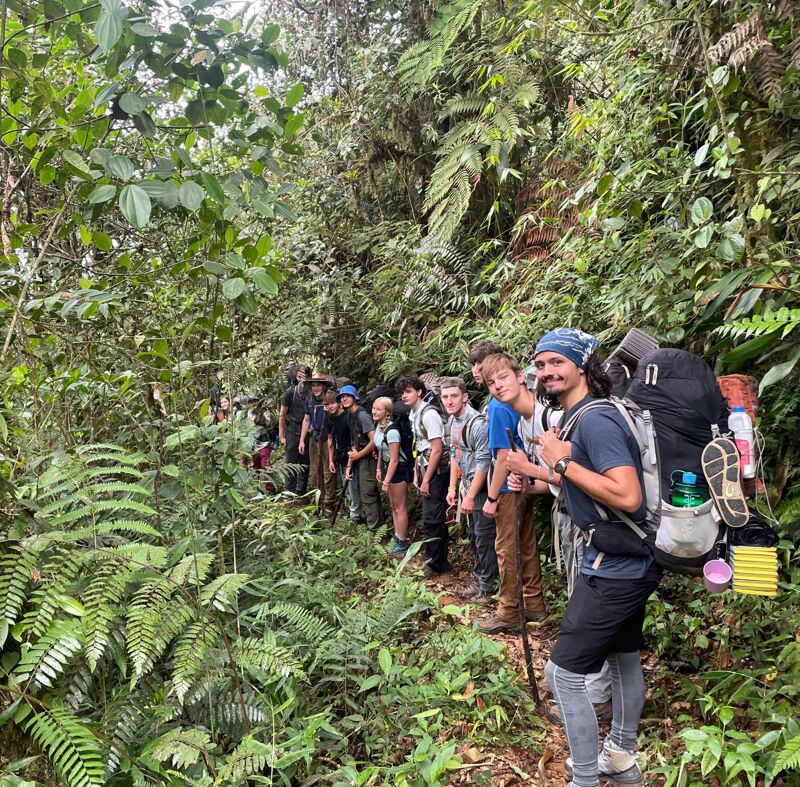 A group of hikers is trekking through a dense, green forest. The hikers are equipped with backpacks and hiking gear, suggesting a multi-day or challenging trek. The path is narrow and surrounded by lush vegetation, creating a sense of immersion in nature. The lighting is dappled, with sunlight filtering through the trees, adding depth and texture to the scene.